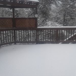 Meet your Posher, Suno